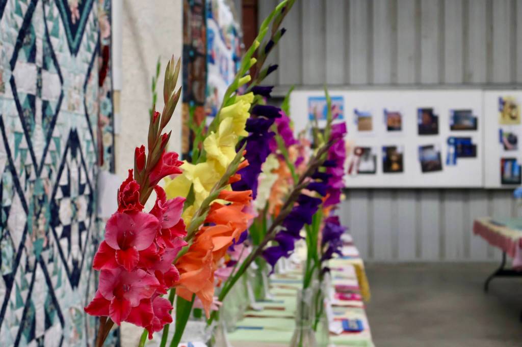 Michael S. Lockett / The Daily World
Flowers and other art line one of the many exhibit halls at the county fair.