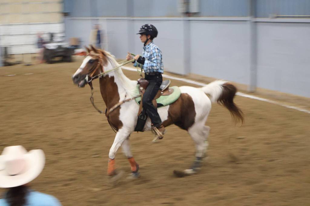 Michael S. Lockett / The Daily World
A competitor at an equestrian event readies up at the indoor arena at the county fair.