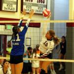 RYAN SPARKS | THE DAILY WORLD Raymond-South Bends Kassie Koski (15)
RYAN SPARKS | THE DAILY WORLD Raymond-South Bends Kassie Koski (15)