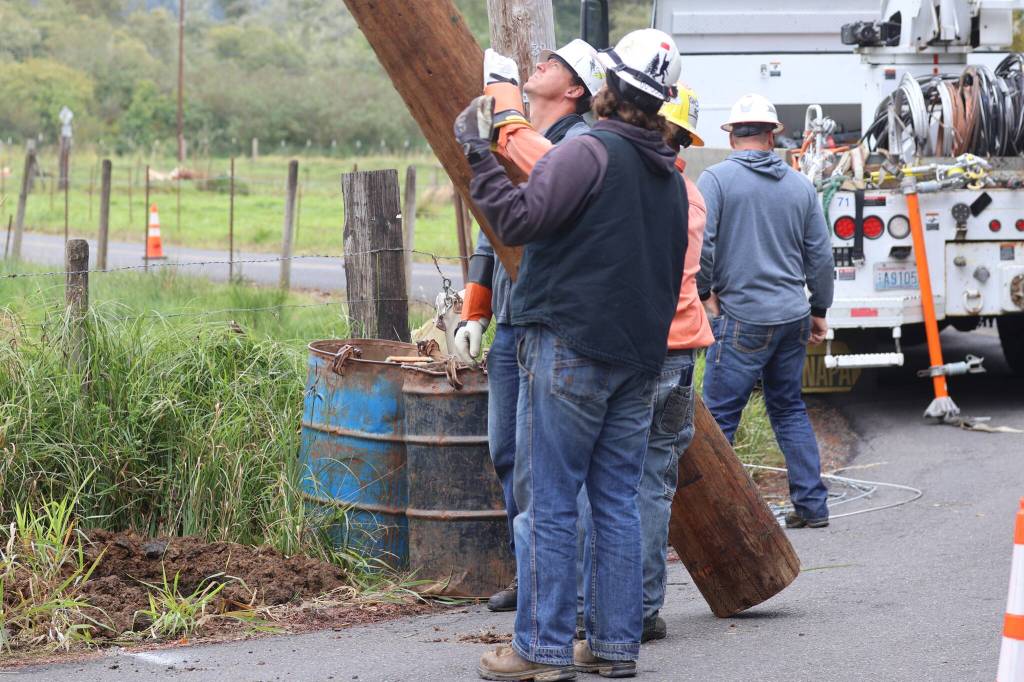 Michael S. Lockett / The Daily World
Line crews for Grays Harbor PUD guide a replacement pole into position.