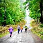 Coastal Shores and Spores Mycological Society
Members of the Coastal Shores and Spores Mycological Society take a stroll in search of fungi.