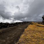 Westport king tide fans. (Barbara A. Smith / For The Daily World)