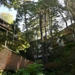 Stay amongst the trees and wake up with an ocean view at Ocean Crest Resort.