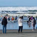 Corinne Srsen photos
Onlookers cheer for the brave during last years Ocean Shores Polar Plunge.