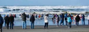 Corinne Srsen photos
Onlookers cheer for the brave during last years Ocean Shores Polar Plunge.