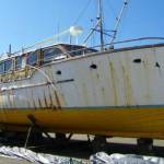Lady Victoria Restoration Project
The MV Periwinkle up on blocks in Port Angeles.