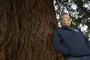 Ellen M. Banner / The Seattle Times
Dave Upthegrove, Washingtons new commissioner of public lands, leans against the Daniel J. Evans coastal redwood tree in Olympia on Thursday, his first day in office. The tree is named in honor of the former governor.