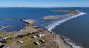 CJ Ripley, President / Volunteer Coordinator, Defenders of the Coast
Damon Point in late January 2025.