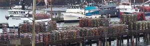 Crabbers out of the Westport Marina ready for the fishery to open on Feb. 11. (Westport Maritime Museum)