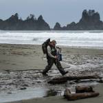 John Anderson crosses a stream along Shi Shi Beach, recovering treasures only a beachcomber could love. (Dean Rutz / The Seattle Times)