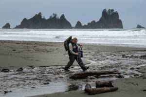 John Anderson crosses a stream along Shi Shi Beach, recovering treasures only a beachcomber could love. (Dean Rutz / The Seattle Times)