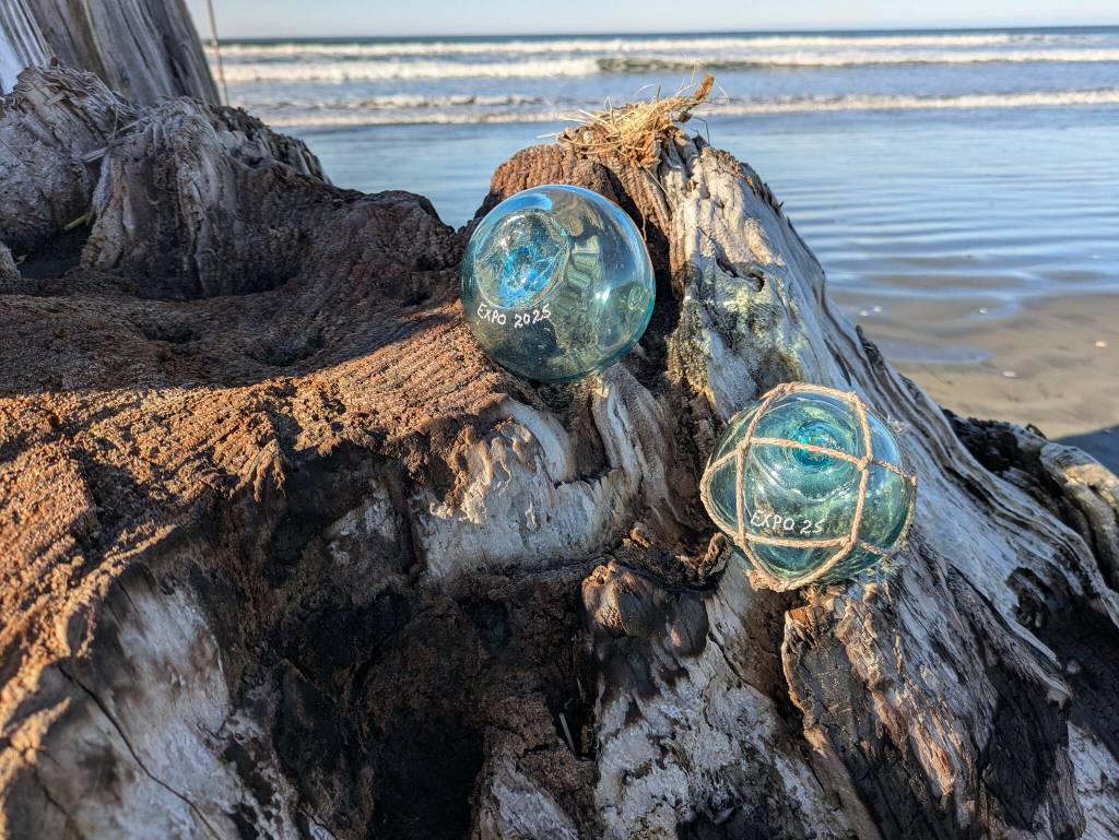 Beachcombers can search for glass fishing floats in the North Beach area ahead of the Beachcombers and Glass Float Expo. (Beachcombers and Glass Float Expo photos)