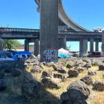 The Daily World file photo
The homeless encampment under the Chehalis River Bridge just before it was vacated in July of 2024.