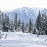 National Forest Service
At the Hurricane Ridge Winter Sports Club, a longtime Olympic National Park employee fired who typically drove a sand truck that prepares the road up to the ski area at the parks highest road-accessible point. Hurricane Ridge had a delayed opening Sunday due to the employees absence, but Oakes says the park is working to backfill the role.