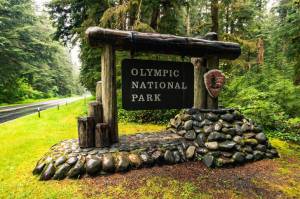 Olympic National Park
An entrance into the Olympic National Park.