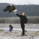 Preston Cook
Preston Cook releasing a rehabilitated Bald Eagle to the wild, Haines, Alaska.