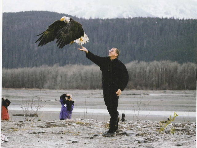 Preston Cook
Preston Cook releasing a rehabilitated Bald Eagle to the wild, Haines, Alaska.