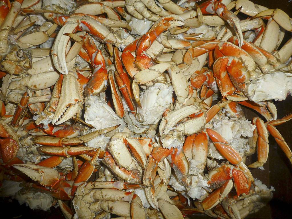 The Daily World file photo
A pile of ready-to-eat Dungeness crab awaits diners at a past Ocosta Booster Club All-You-Can-Eat Crab Feed, which takes place this year on Saturday, March 8.