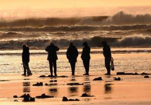 Skip Radcliffe / For The Daily World
Clam diggers enjoy a sunset at Ocean Shores last week. The digs are on starting this Sunday, the same day we spring forward for Daylight Savings Time, adding more sunsets for dedicated diggers next week.