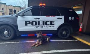 Aberdeen Police Department
Kibo at rest at the Aberdeen police station.