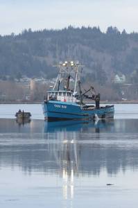 Ezra McCampbell / The Daily World
The Tani Rae at the Port of Willapa Harbor.