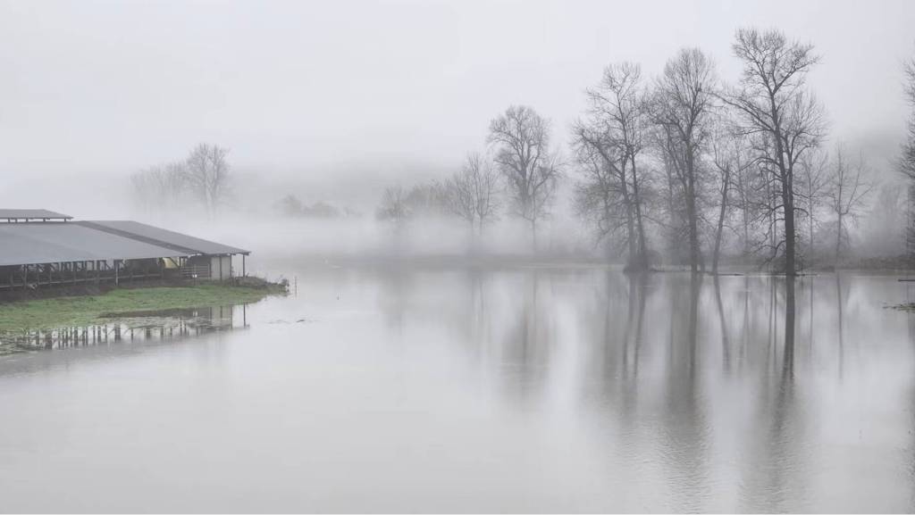 Jason Griffith
The Stillaguamish River floods on Dec. 5, 2023.