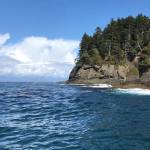 Alex Avila
The Olympic Coast National Marine Sanctuary extends from the Olympic Peninsula shore to the edge of the continental shelf.