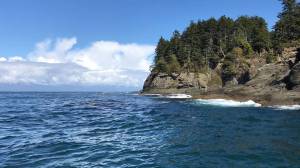 Alex Avila
The Olympic Coast National Marine Sanctuary extends from the Olympic Peninsula shore to the edge of the continental shelf.