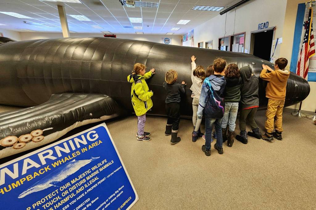 Stori Smith
Students inspect Big Mama, a life-size inflatable humpback whale used by the Olympic Coast National Marine Sanctuary for environmental education.
