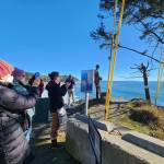 The view at the North Cove overlook in North Pacific County.