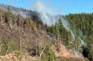 Chinook Observer
In November 2022 fire in recently logged timberland just north of Chinook was kept alive by unusually strong east winds and dry conditions.