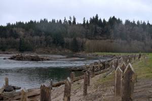 Jerry Knaak photos / The Daily World
The confluence of the Satsop and Chehalis rivers.