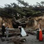 Henry Tieu
Khalil and Sophie Haddad eloped in front of the Tree of Life at Kalaloch Beach in September 2023.