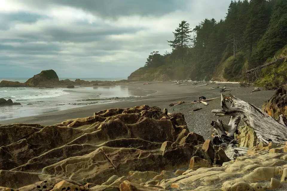 iStockphoto
Kalaloch Beach in Olympic National Park.