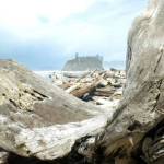 Lynn Jacobson / The Seattle Times
Ruby Beach at low tide offers a variety of things to look at, from driftwood to tide pools, on the Olympic Peninsula.