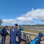 The Hoquiam library staff led a tour of the Grays Harbor National Wildlife Refuge this past Saturday to learn about the basics of birding.