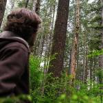 Riley Yuan photos / Chinook Observer
The $3 million price was right for Stimson Lumber, which purchased over 8,500 metric board-feet of hemlock and Douglas fir on state forestland just south of Lebam.