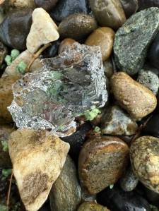 Alli McCrite provided these photos of gelatinous blobs that she said recently fell from the sky near Oakville.