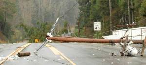 Grays Harbor PUD
Downed trees caused 246 tree related outages in 2024.