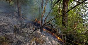 East Grays Harbor Fire and Rescue photos
A fire burns brush on Mox Chehalis Road in Malone on Friday.