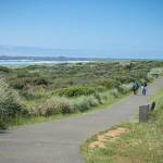 Washington State Parks
The walking trail at the Westport Light State Park.