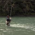 Lateral Line Media
Fly fisherman on the Hoh Proposed Wild & Scenic River