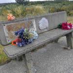 Flowers adorn a vandalized bench at Westport Light State Park.