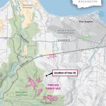 Fiona Martin / The Seattle Times
Washington State Department of Natural Resources, Olympic Forest Defenders