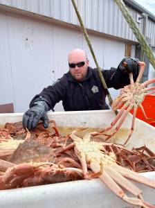 WDFW
A Washington Department of Fish and Wildlife officer sorts illegal crab.