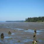 pacificnwseasons.blogspot.com/
Expect miles of mudflats at Bottle Beach State Park due to low tides this week.