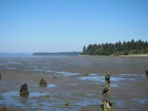 pacificnwseasons.blogspot.com/
Expect miles of mudflats at Bottle Beach State Park due to low tides this week.