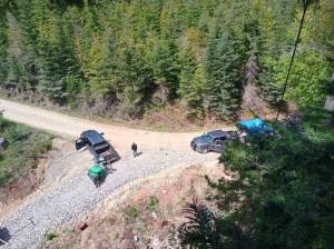 An activist who declined to be identified has set up in a grand fir in the Elwha River watershed to stop cutting of the forest in the states Parched timber sale.