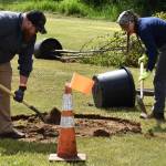 Jerry Knaak / The Daily World
Stephen Davis, a forester/silviculturist with Weyerhaeuser (left) and a volunteer dig a hole during the tree planting event at Pioneer Park.