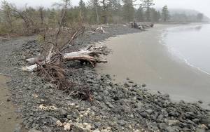 The Daily World file photo
A view of the dynamic revetment protecting the North Cove shoreline at the end of Old State Route 105 in northern Pacific County taken in 2019.